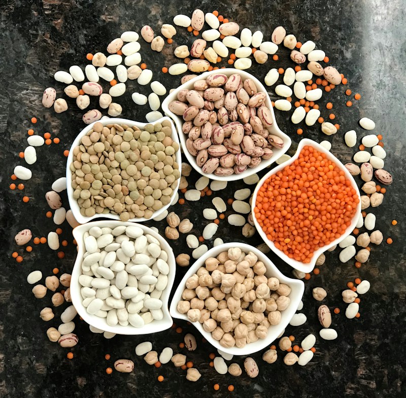 Ev Tarhanası (Ekşi)